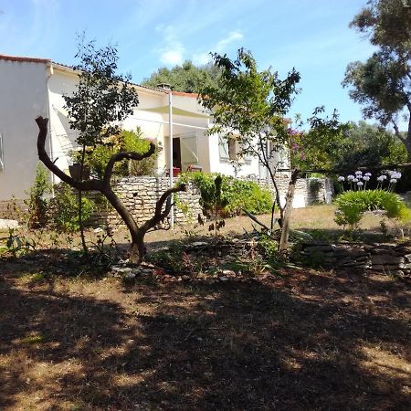 Bonifacio, Maison 90M² Sous Les Oliviers, Vue Sardaigne Bonifacio  Buitenkant foto