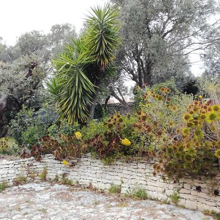 Bonifacio, Maison 90M² Sous Les Oliviers, Vue Sardaigne Bonifacio  Buitenkant foto