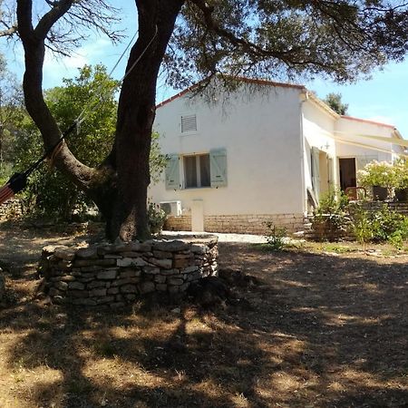 Bonifacio, Maison 90M² Sous Les Oliviers, Vue Sardaigne Bonifacio  Buitenkant foto