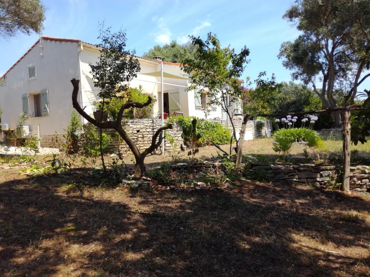 Bonifacio, Maison 90M² Sous Les Oliviers, Vue Sardaigne Bonifacio  Buitenkant foto