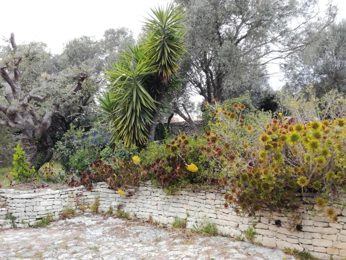 Bonifacio, Maison 90M² Sous Les Oliviers, Vue Sardaigne Bonifacio  Buitenkant foto
