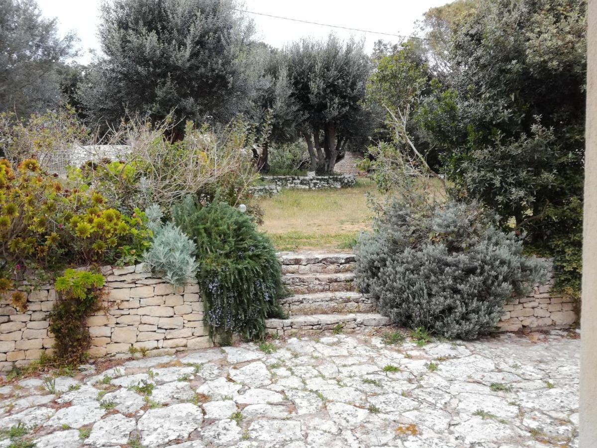 Bonifacio, Maison 90M² Sous Les Oliviers, Vue Sardaigne Bonifacio  Buitenkant foto
